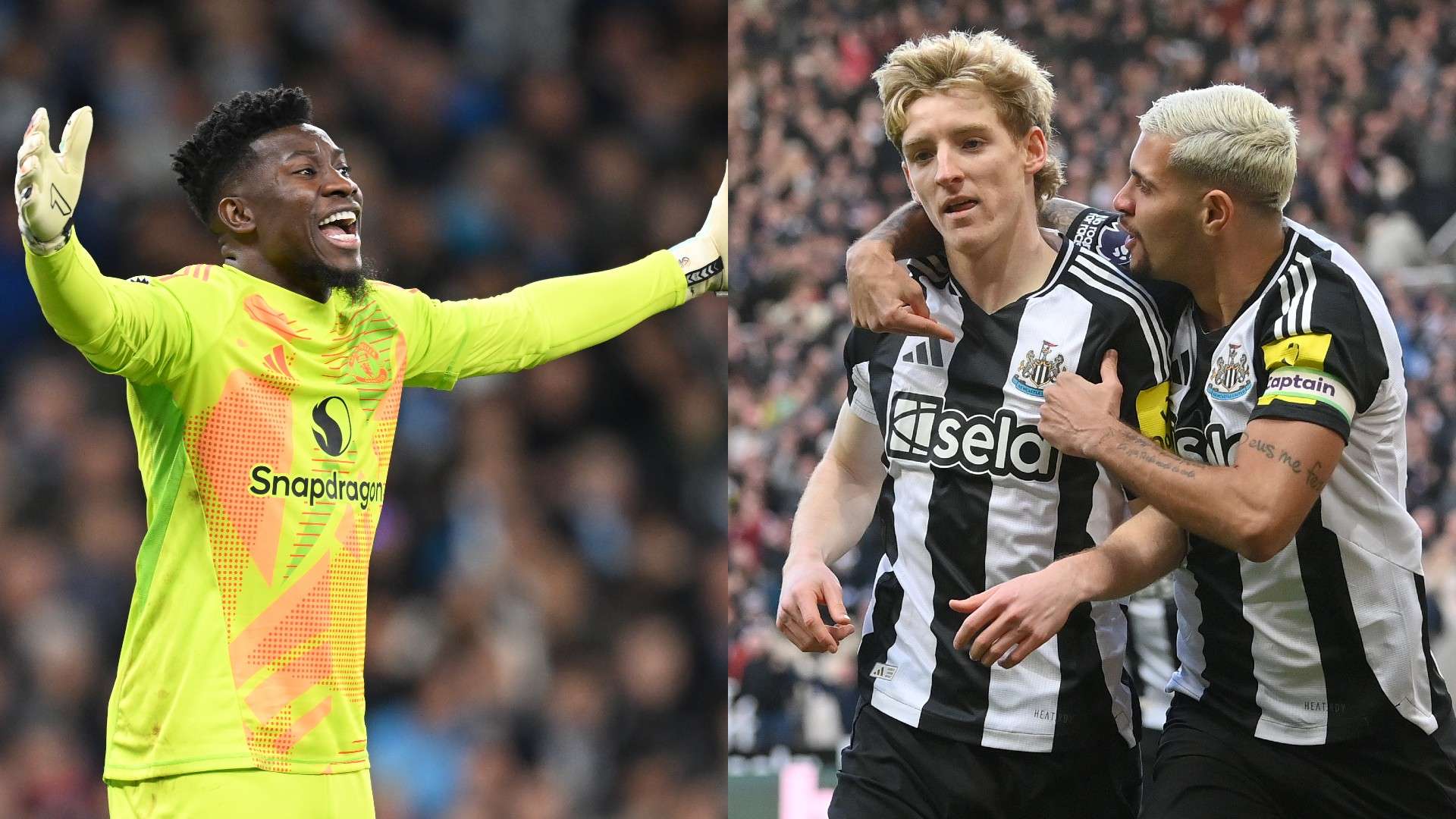 具有极高的 具有极高的