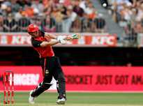 专业的解剖 专业的解剖