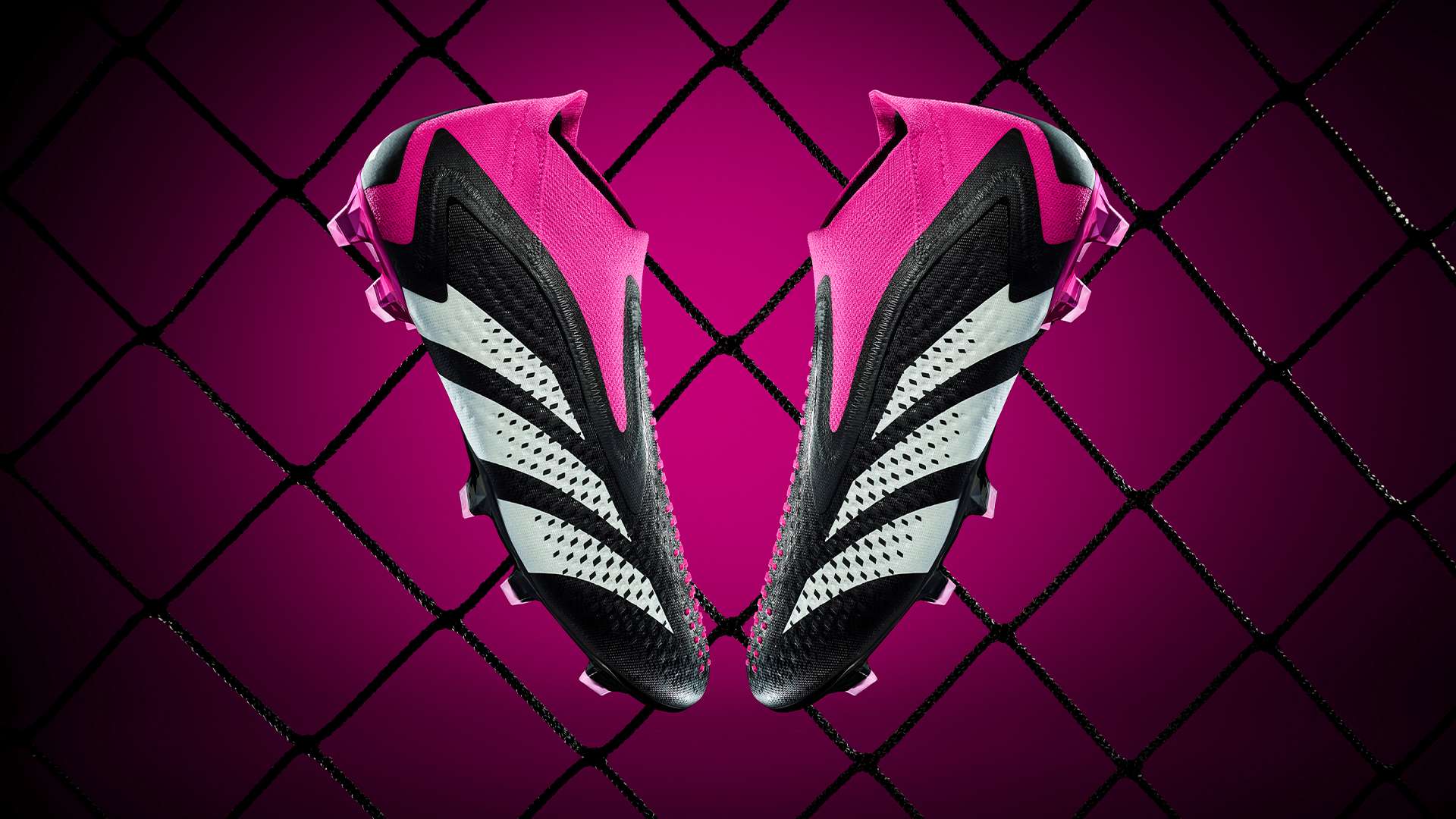 分析这两个 分析这两个